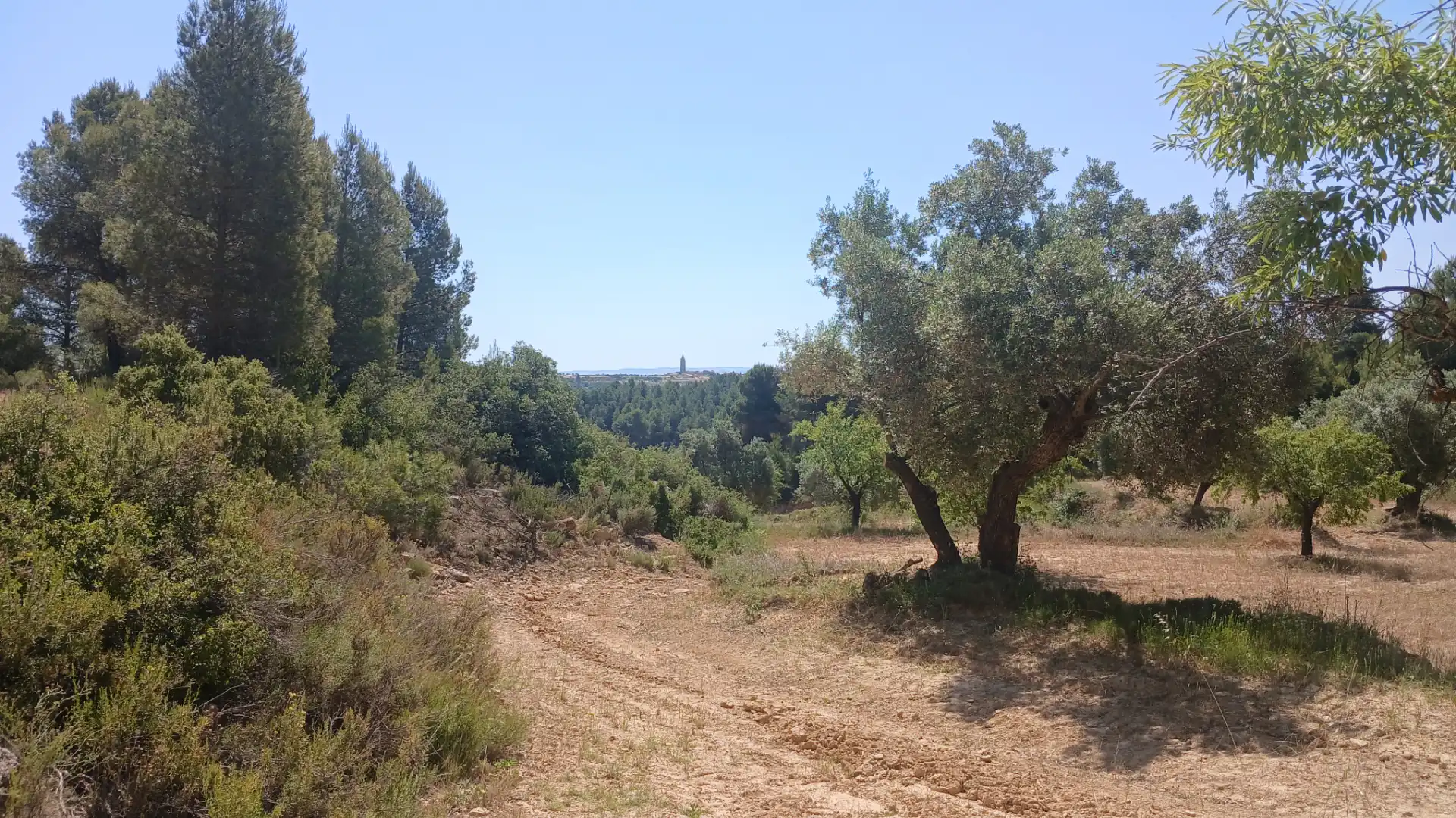 Terreno rustico in vendita a N/A, imagen 13