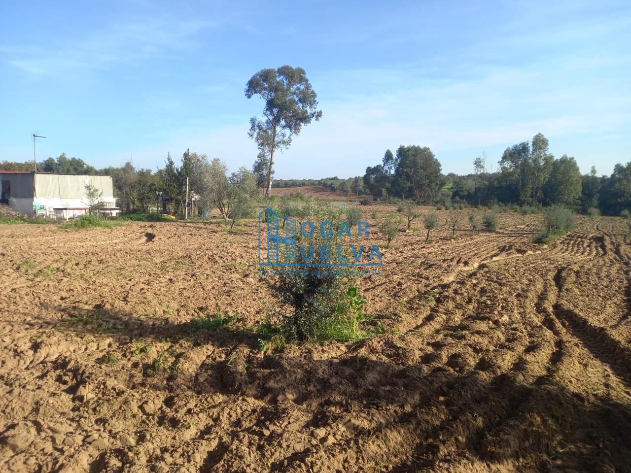 Country house for sale in Gibraleón