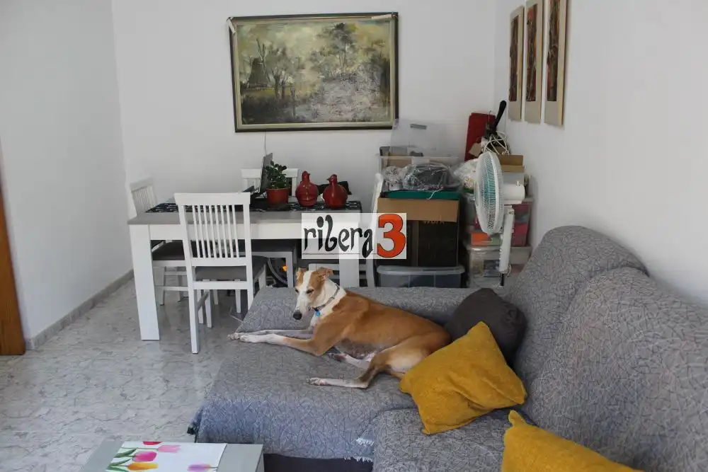 Appartement compact avec ascenseur à vendre à Santiago de la Ribera, imagen 4
