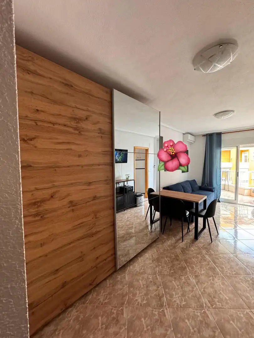 Apartment mit Terrasse zum Verkauf in Calle SAN LUIS, imagen 4