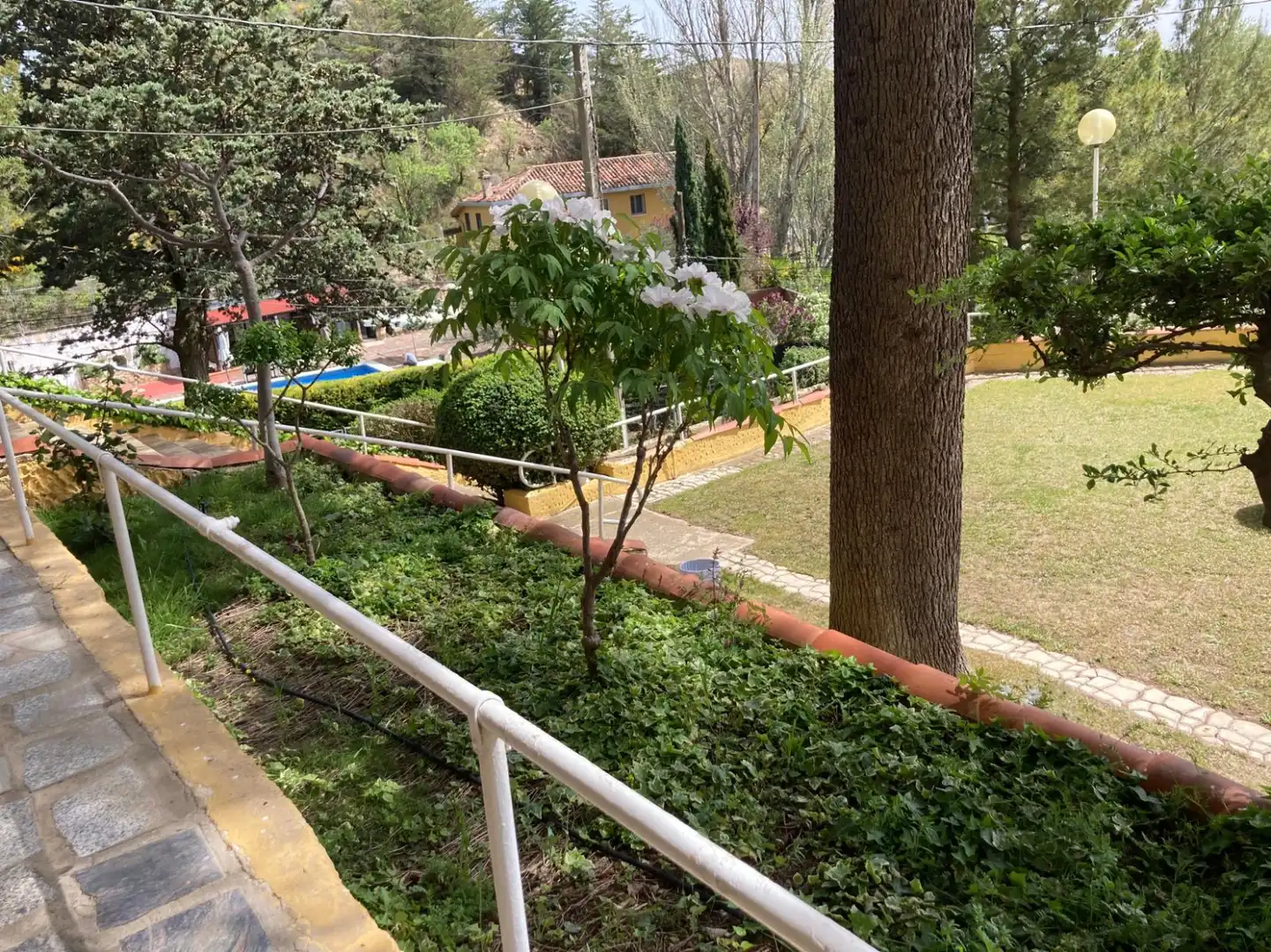 Garten von Wohnung zum Verkauf in Lanciego / Lantziego mit Heizung, Terrasse und Schwimmbad