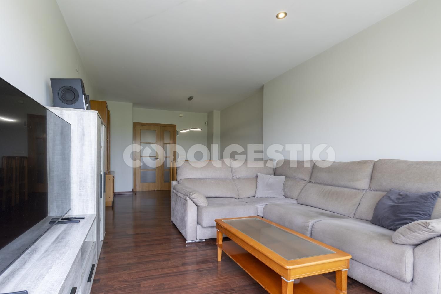 Living room of Flat for sale in Manlleu  with Terrace and Balcony