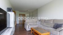 Living room of Flat for sale in Manlleu  with Terrace and Balcony