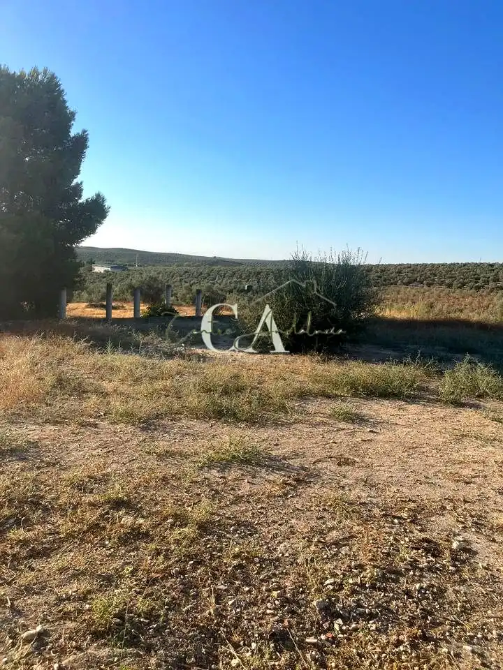 Terreny rústic en venda a A-3133, imagen 2