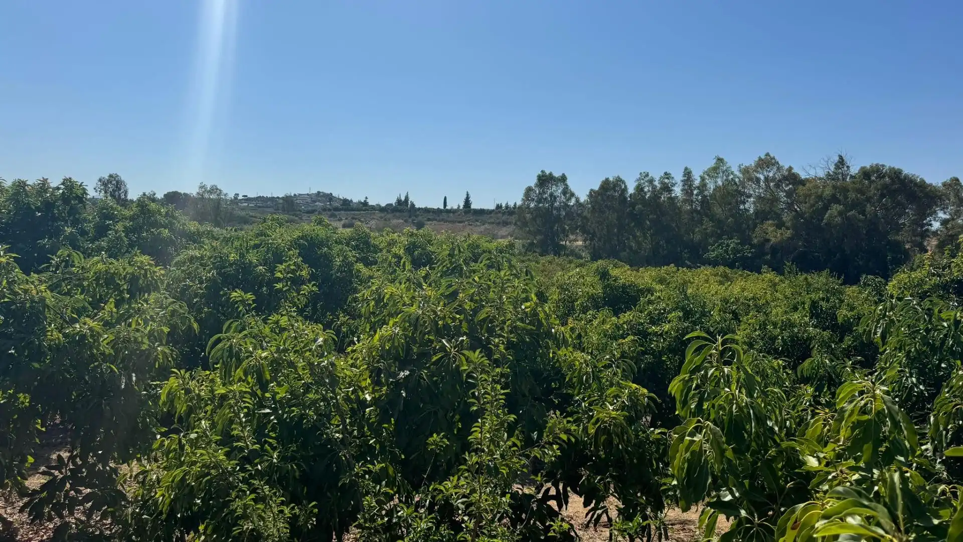Terreno rustico in vendita a Capellanía - Retamar, imagen 14