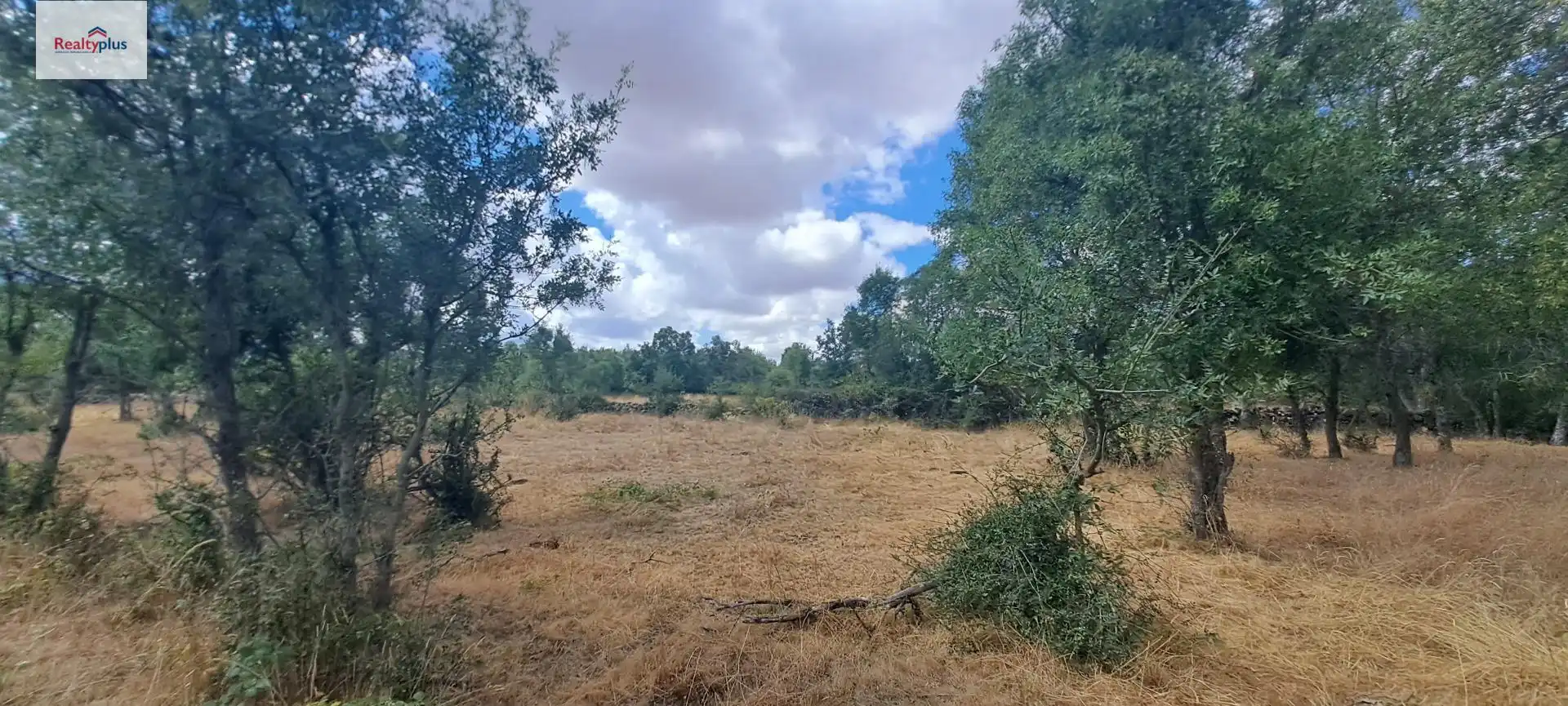 Terreni e lotti in vendita a Sotosalbos, imagen 11