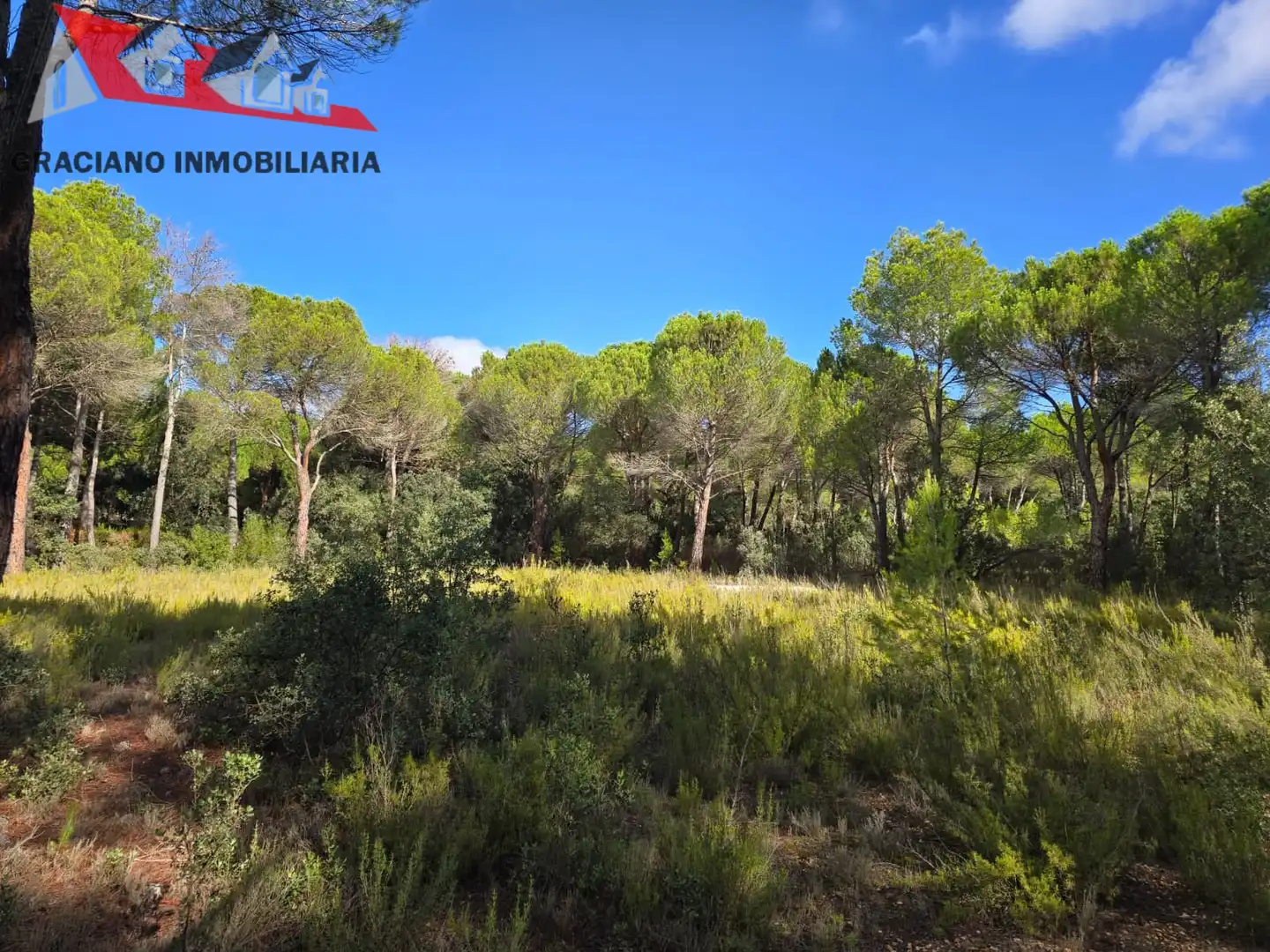 Terreno residenziale in vendita a Pedanías - Extrarradio, imagen 2