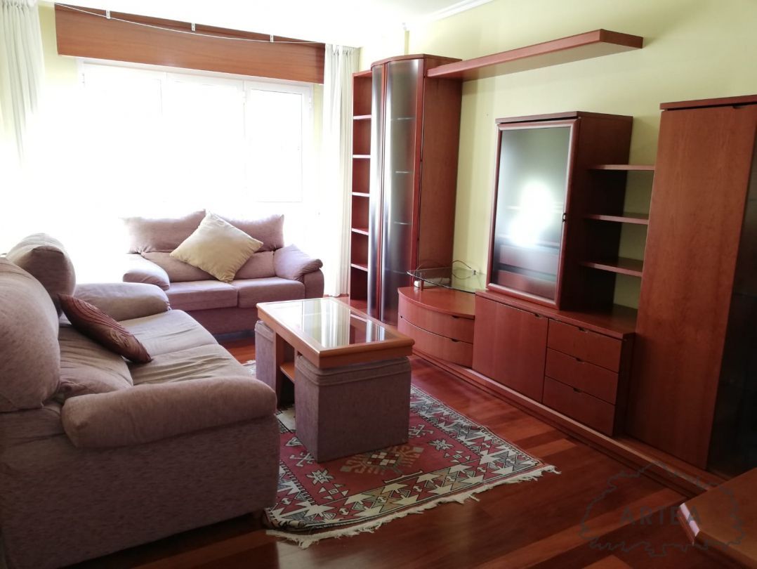 Living room of Flat to rent in Bilbao   with Heating, Oven and Washing machine