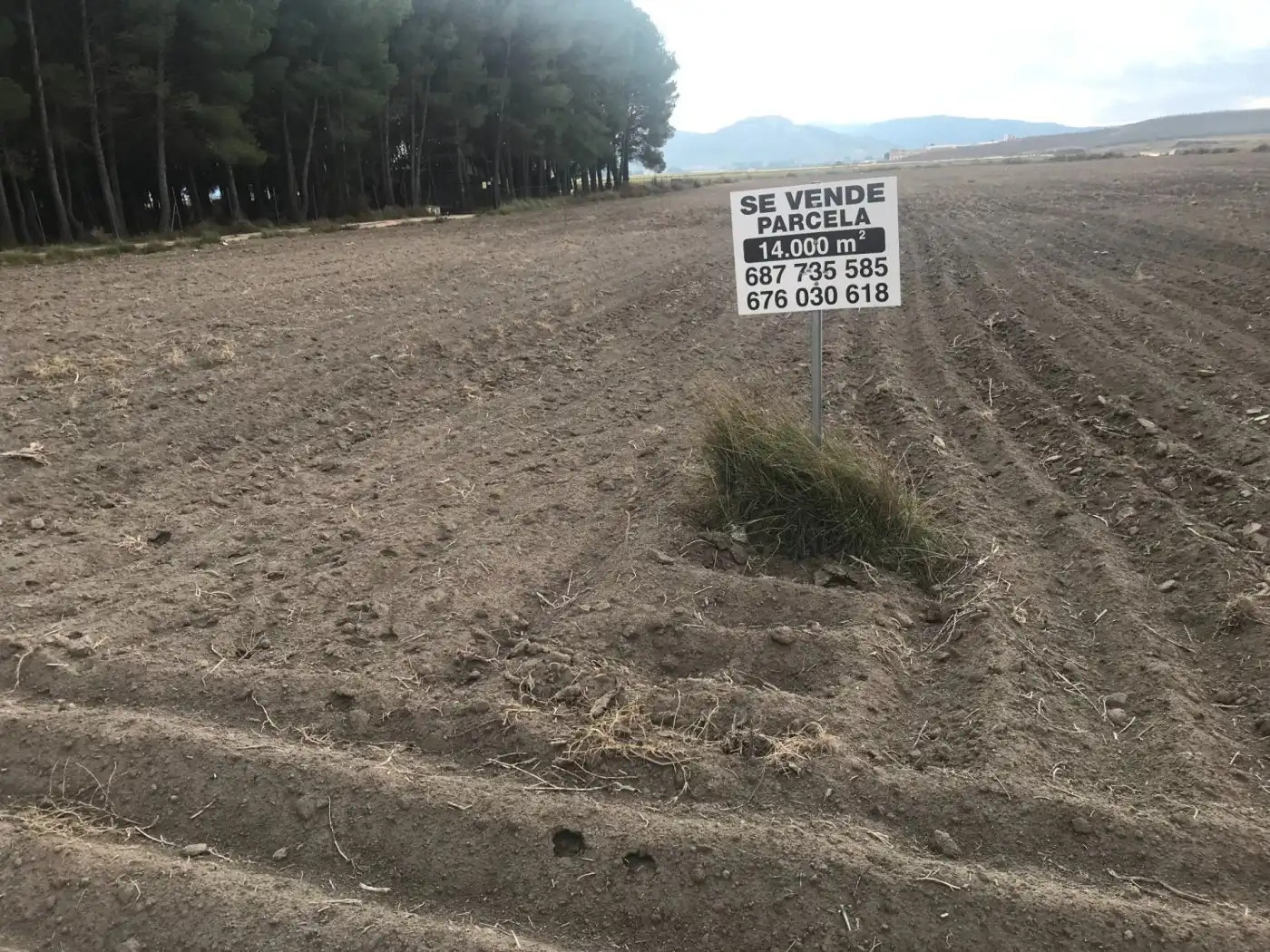 Grundstücke zum Verkauf in Villena