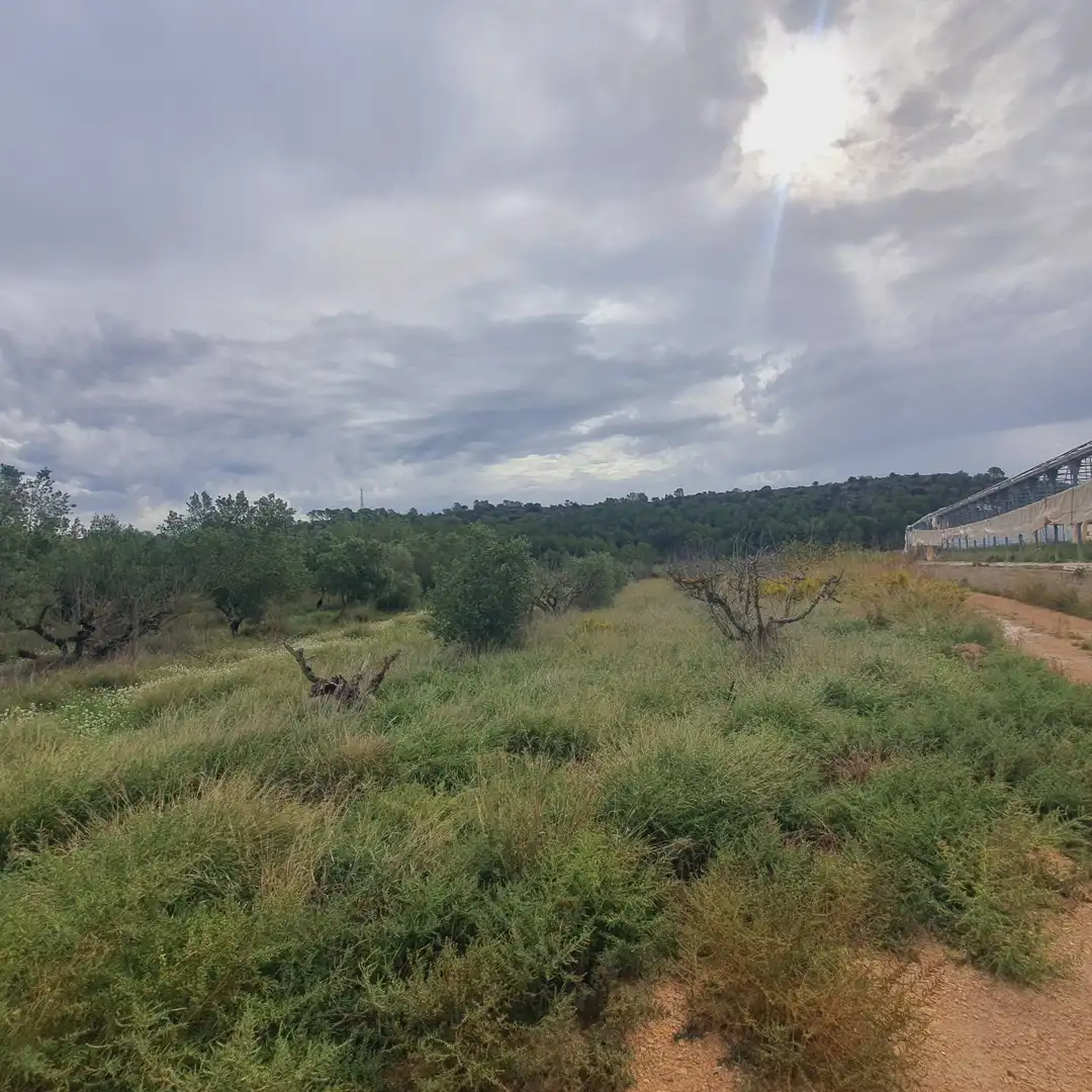 Rustikales Grundstück zum Verkauf in El Pinell de Brai, imagen 27