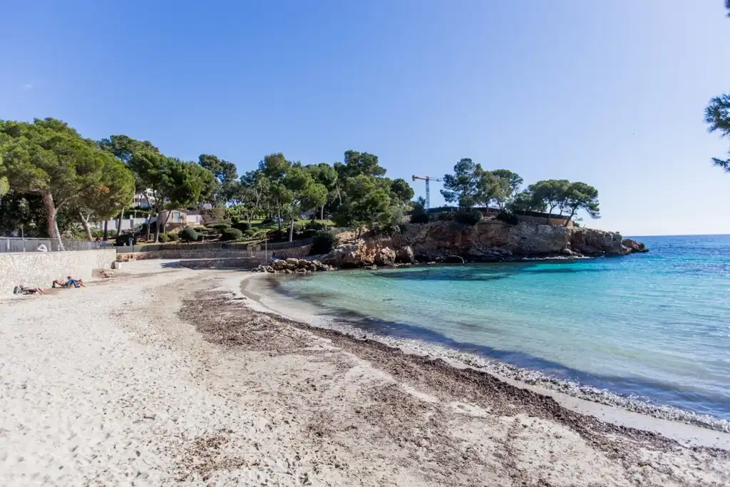 Villa avec jardin à vendre à Portals Nous, imagen 6