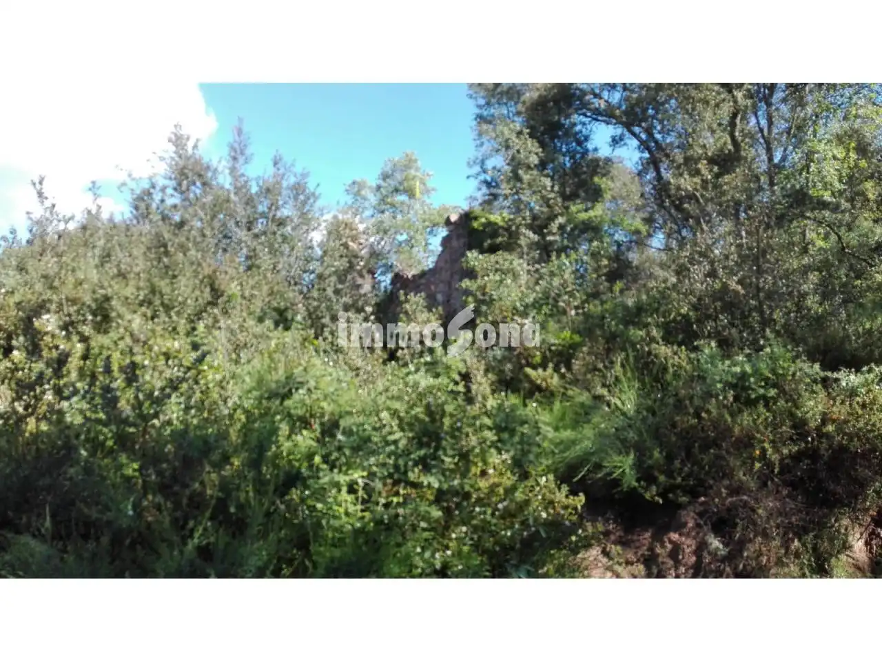 Terreny rústic en venda a Llinars del Vallès, imagen 4