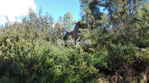 Finca rustica 330 hectareas, imatge 4