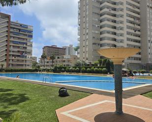 Swimming pool of Flat to rent in Alicante / Alacant  with Terrace and Swimming Pool