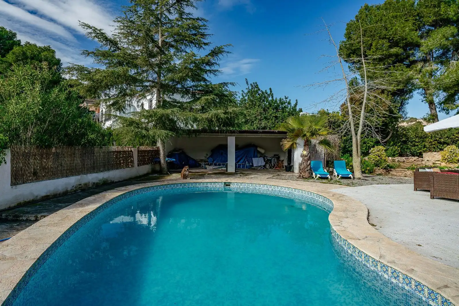 Villa con giardino in vendita a Paichi, imagen 23