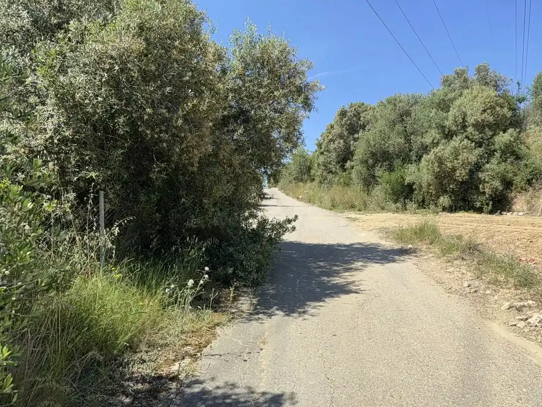 Casa rustica in vendita a L'Arboç, imagen 5