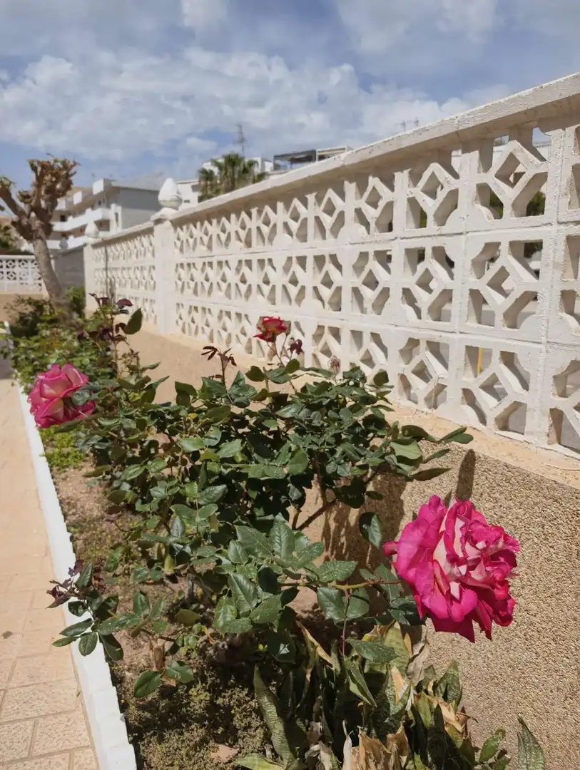 Apartments for sale in N/A, Avenida Habaneras - Curva de Palangre