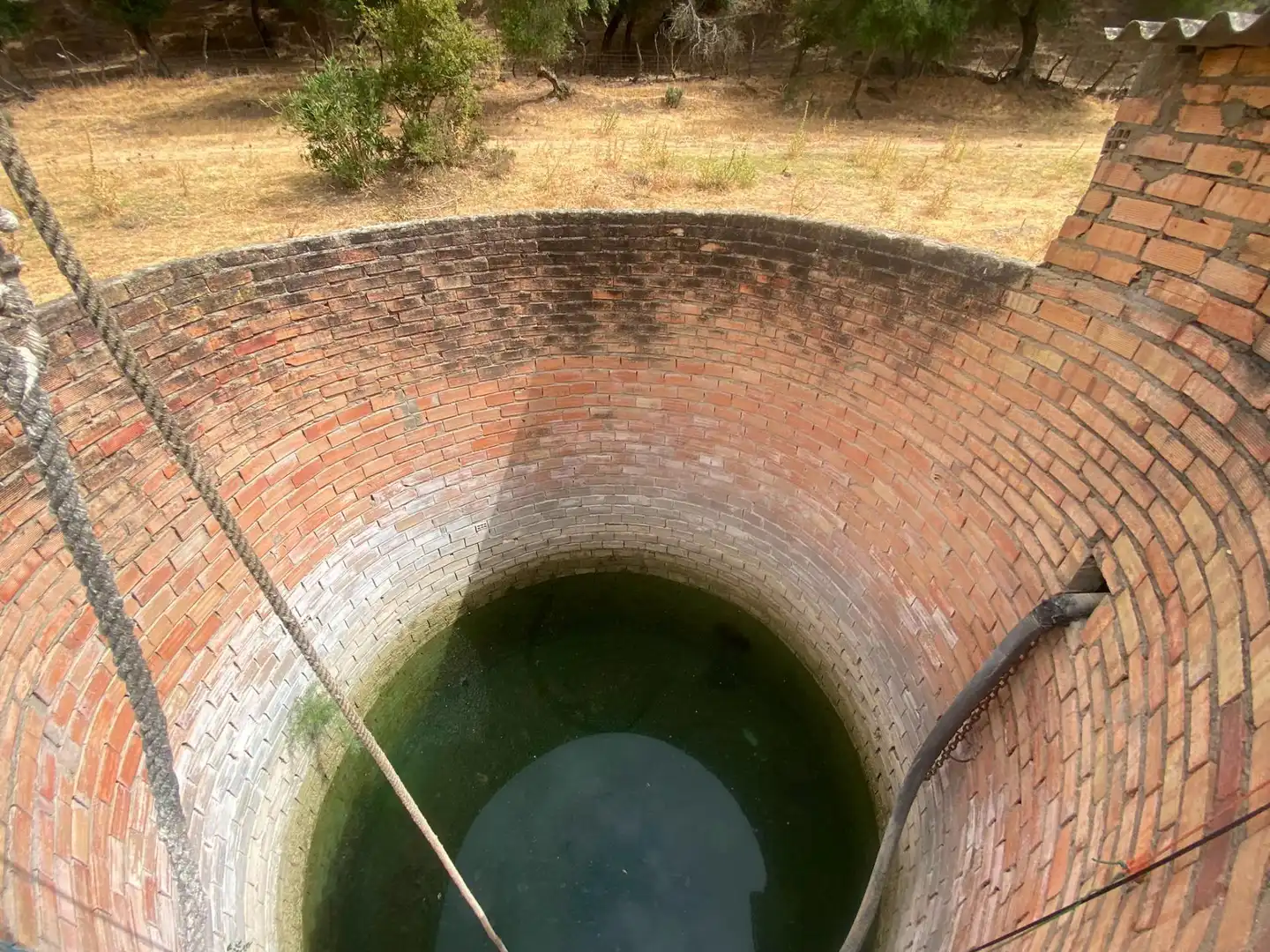 Terreni e lotti in vendita a Alcalá de los Gazules, imagen 95