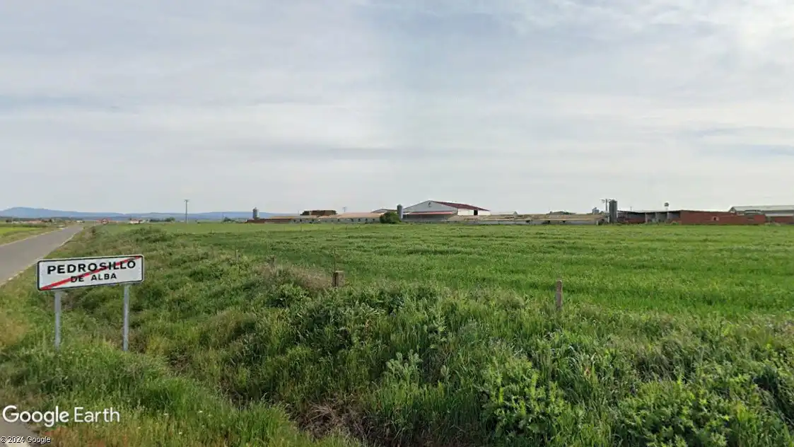 Terreno en venta en Pedrosillo de Alba