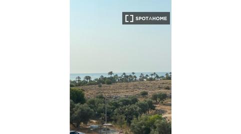 Photo 2 of Flat to share in Palmeral, Alicante / Alacant
