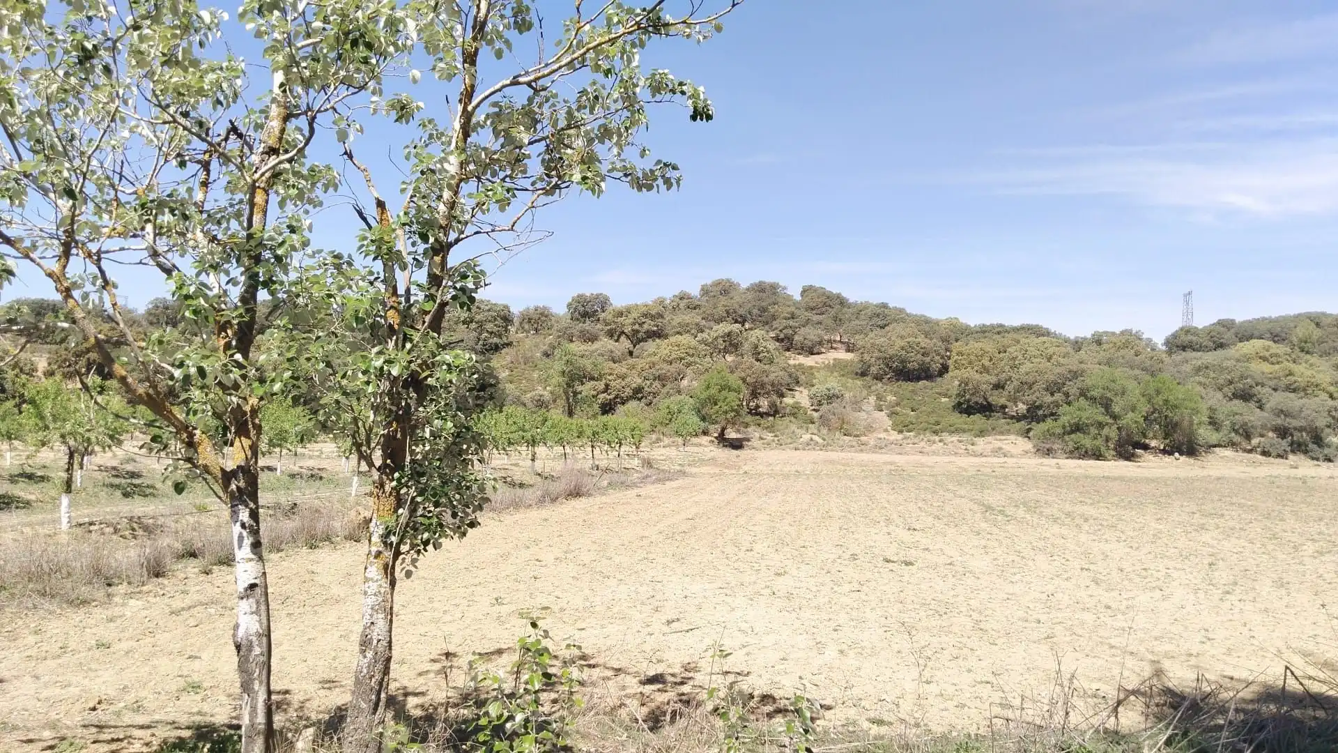 Terrenys i solars en venda a Archidona, imagen 8