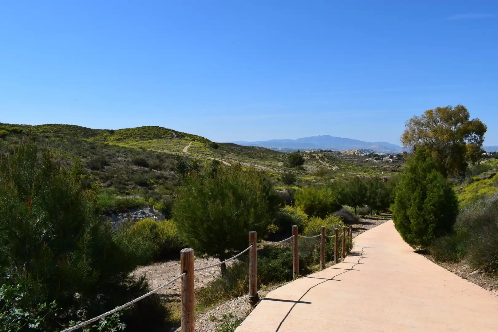 Exterior view of Flat for rent in Ribera de Molina - Torrealta