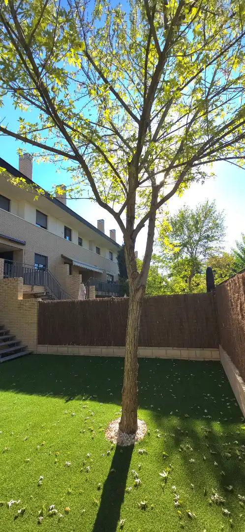 Doppelhaushälfte mit Pool zum Verkauf in Calle de Ibiza, imagen 91