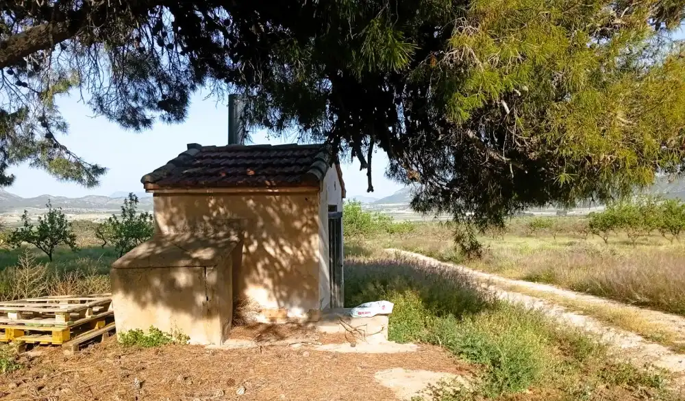 Wohnung zum Verkauf in Salinas, imagen 3