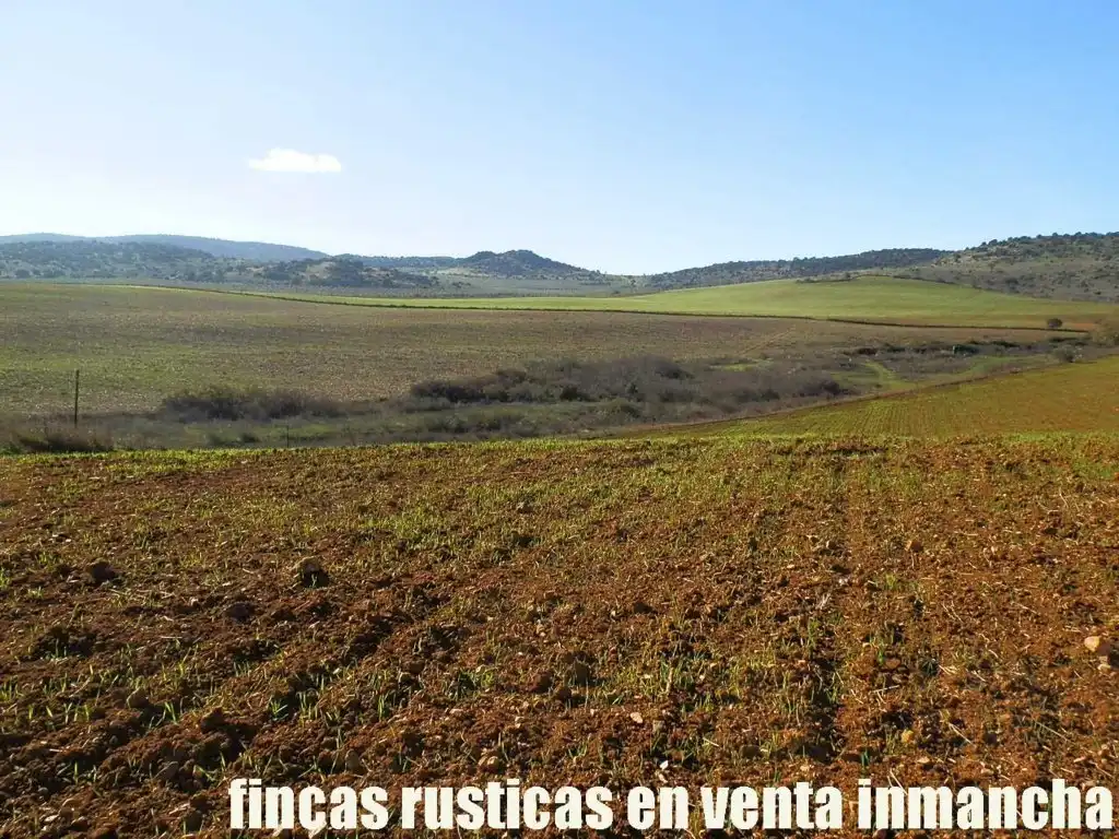 Terreno rustico in vendita a Centro - Plaza Mayor
