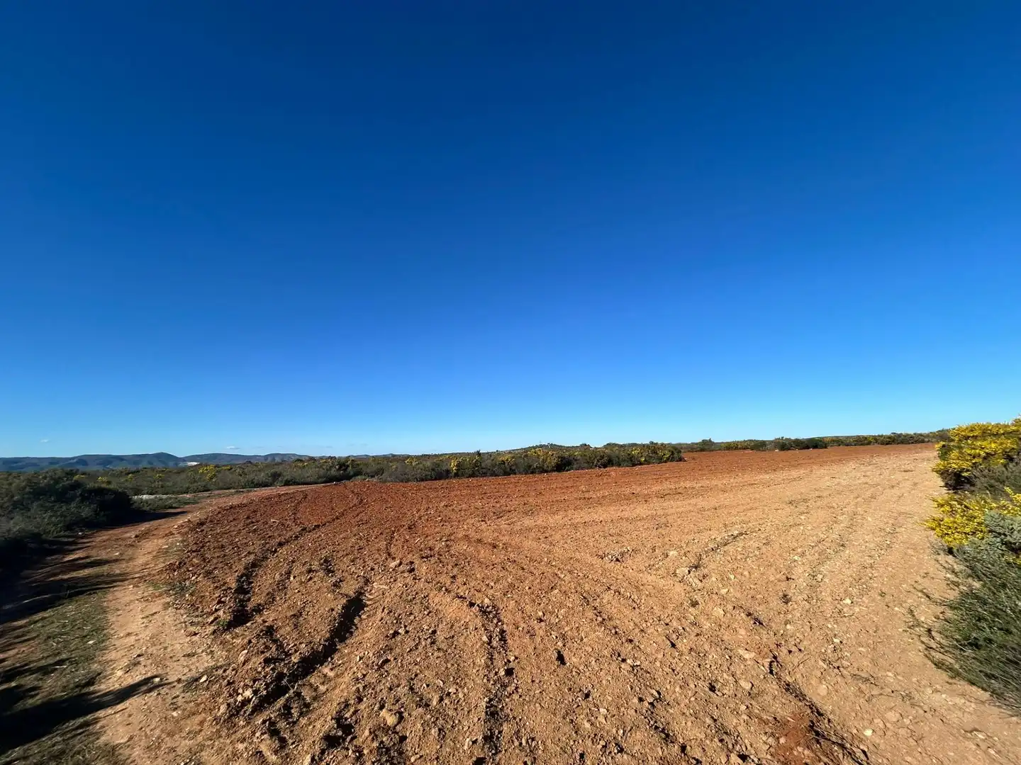 Finca rústica en venta en partida Pla de la Viña, Alfafara