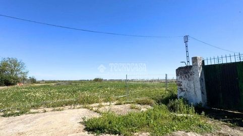 Photo 2 of Houses for sale in Calle Amazona Vetaherrado, Las Cabezas de San Juan, Sevilla