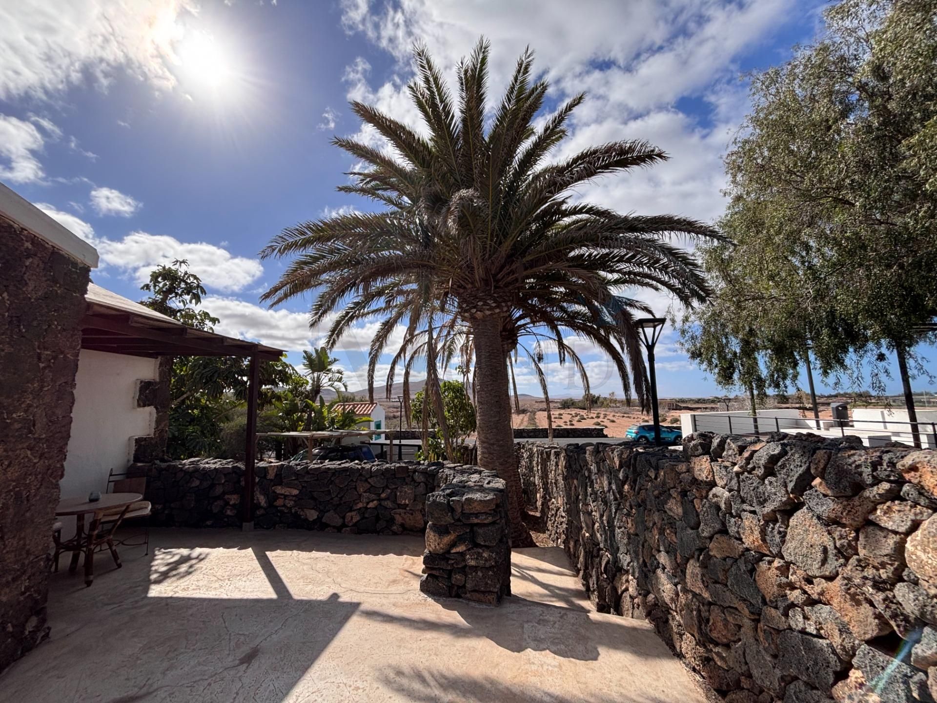 Exterior view of House or chalet for sale in La Oliva  with Heating, Private garden and Terrace