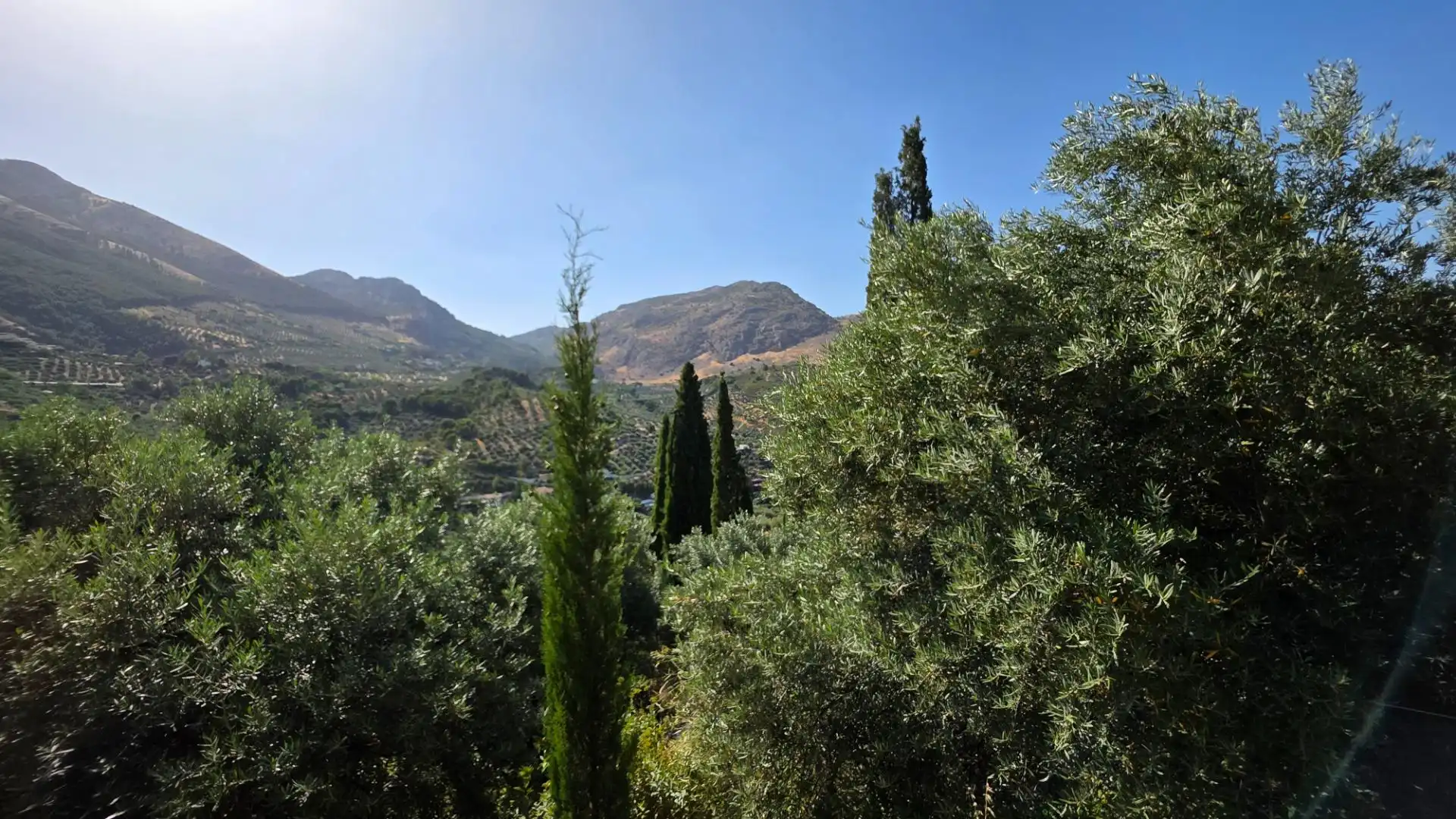 Vista exterior de Finca rústica en venda en Jaén amb Calefacció, Jardí privat i Terrassa