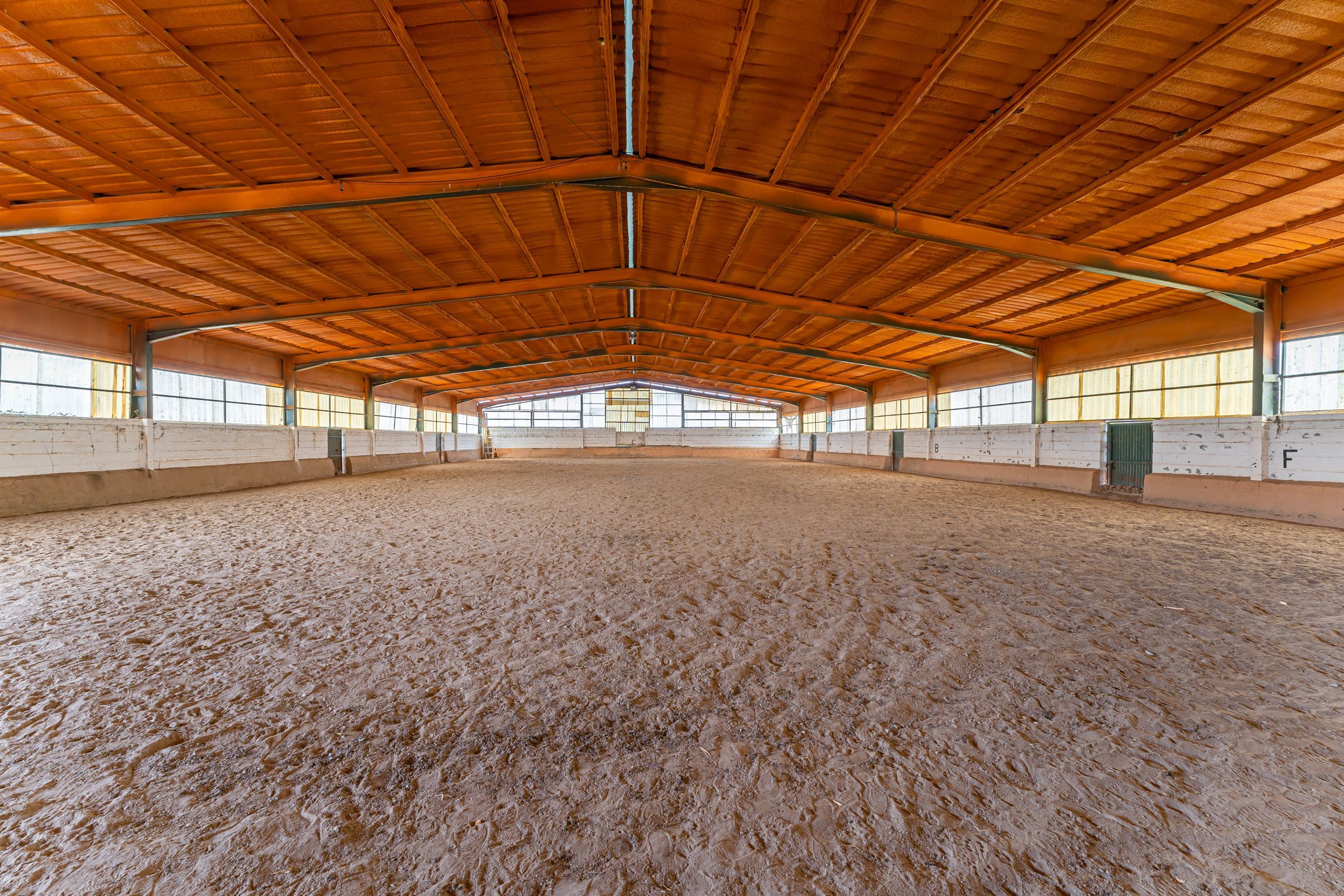 Vista exterior de Finca rústica en venda en  Toledo Capital amb Jardí privat, Terrassa i Traster