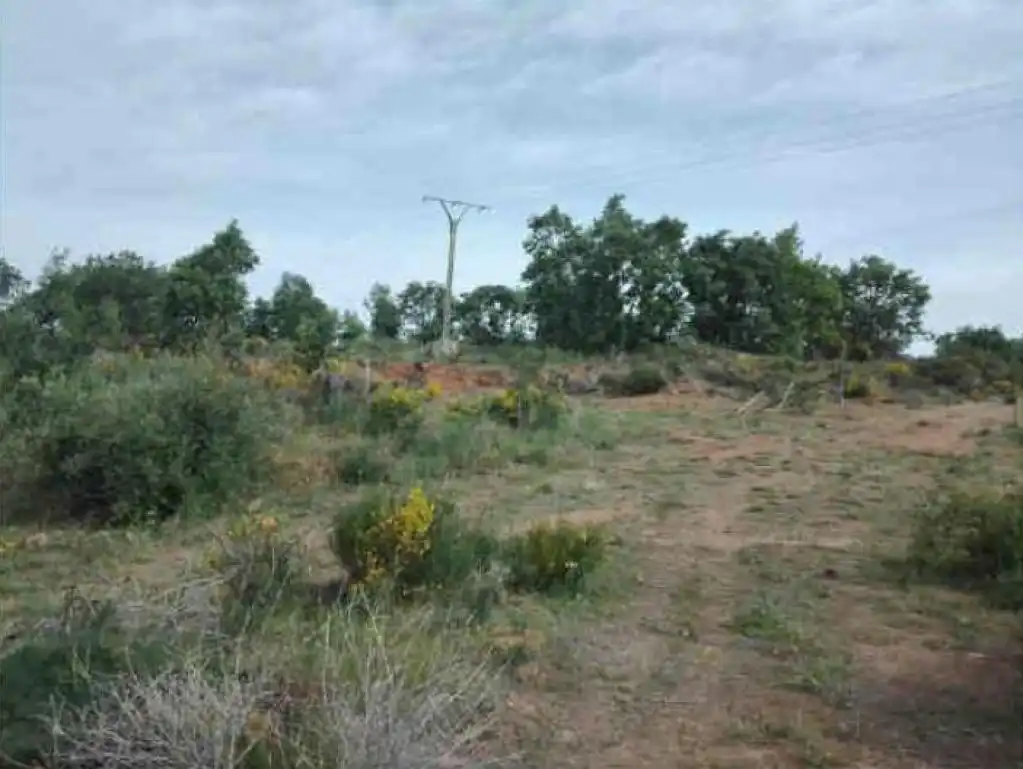 Terreno rustico in vendita a CIUDAD RODRIGO, imagen 3