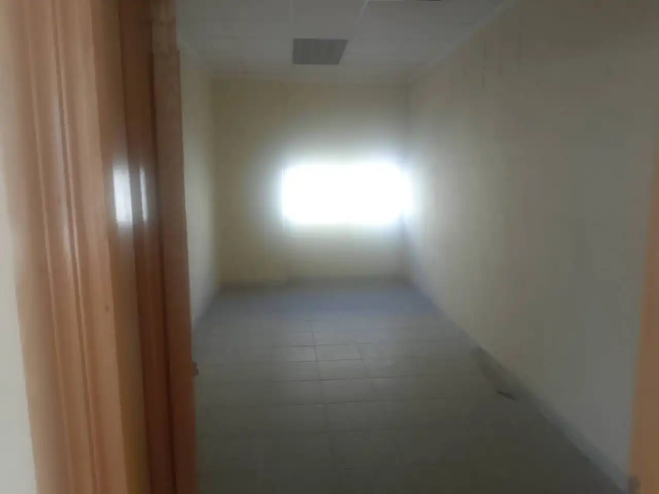 Nave industrial in vendita a Avenida Hort Mandarí 19, imagen 13