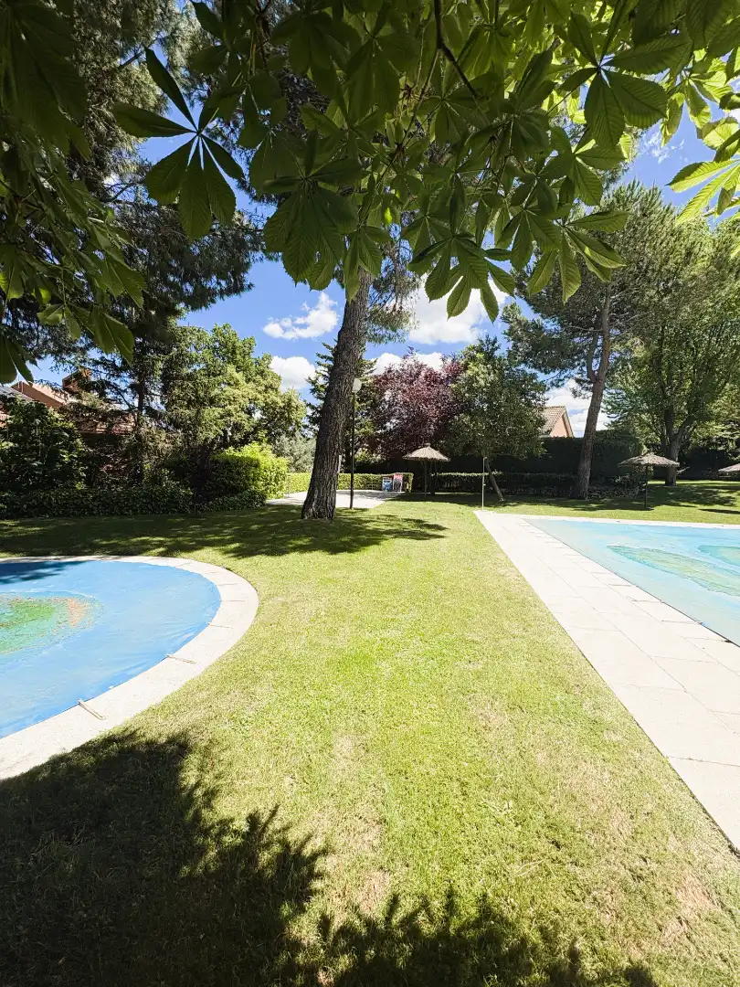 Swimming pool of Detached homes for sale in Las Rozas de Madrid  with Heating, Private garden and Terrace