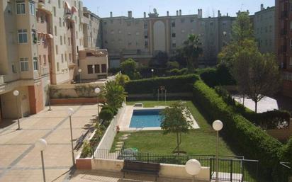 Swimming pool of Flat to rent in Málaga Capital  with Parquet flooring, Terrace and Community pool