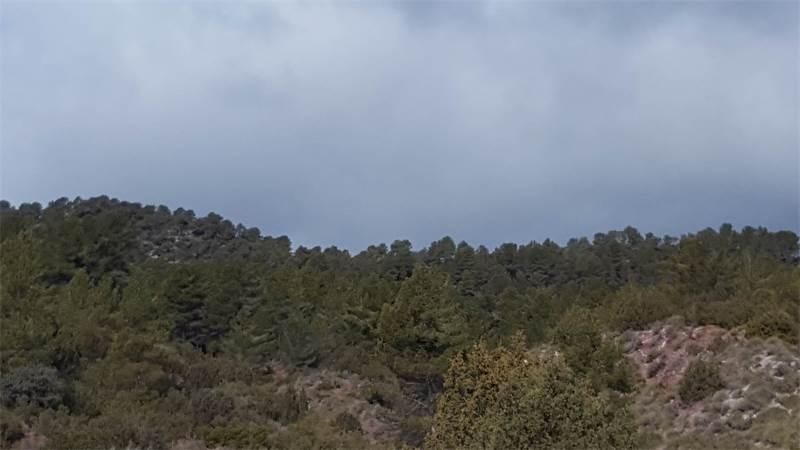 Land for sale in Enguídanos
