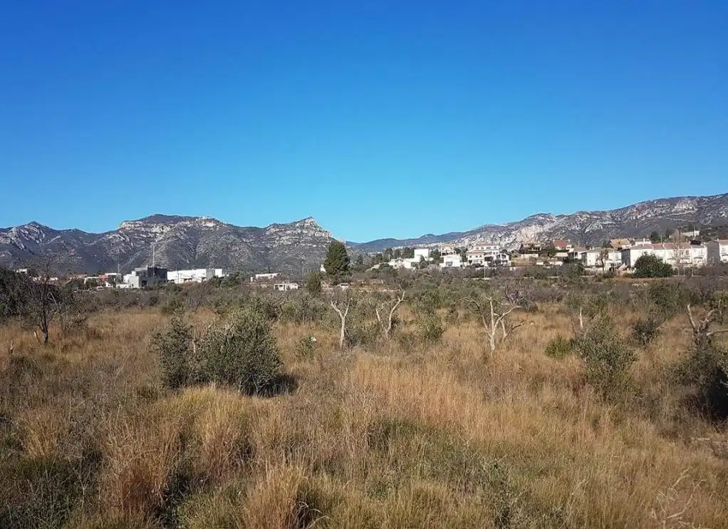 Rural land for sale in DOMENGES, imagen 7