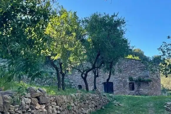 Vista exterior de Finca rústica en venda en Cabanes