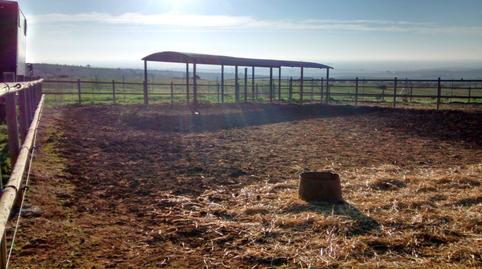 Photo 4 of Country house for sale in Burguillos, Sevilla