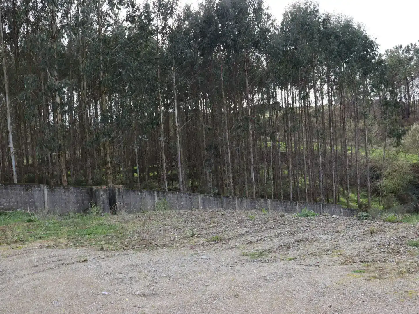 Industrial buildings for sale in Abegondo
