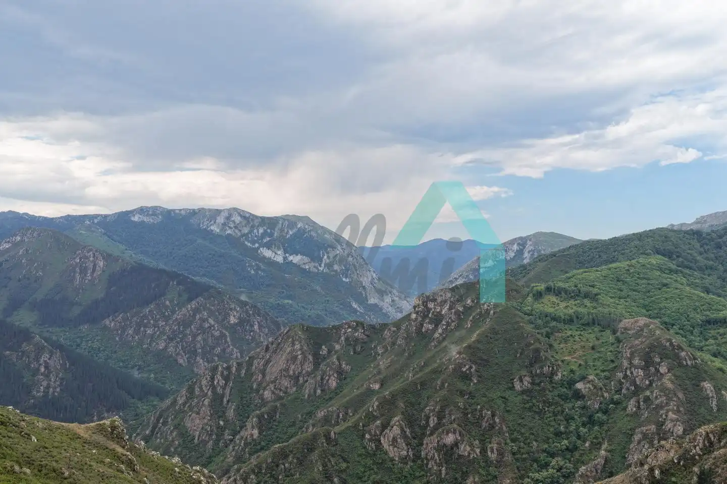 Exterior view of Land for sale in Proaza