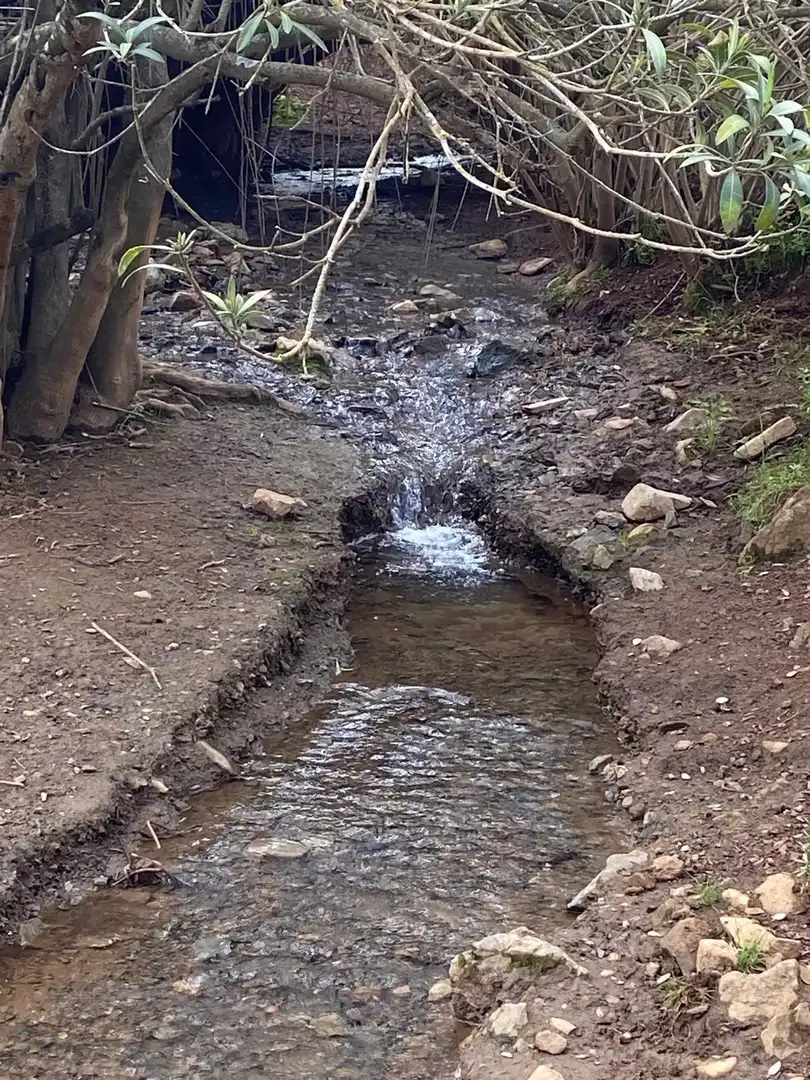 Terreni e lotti in vendita a Cazalla de la Sierra, imagen 17