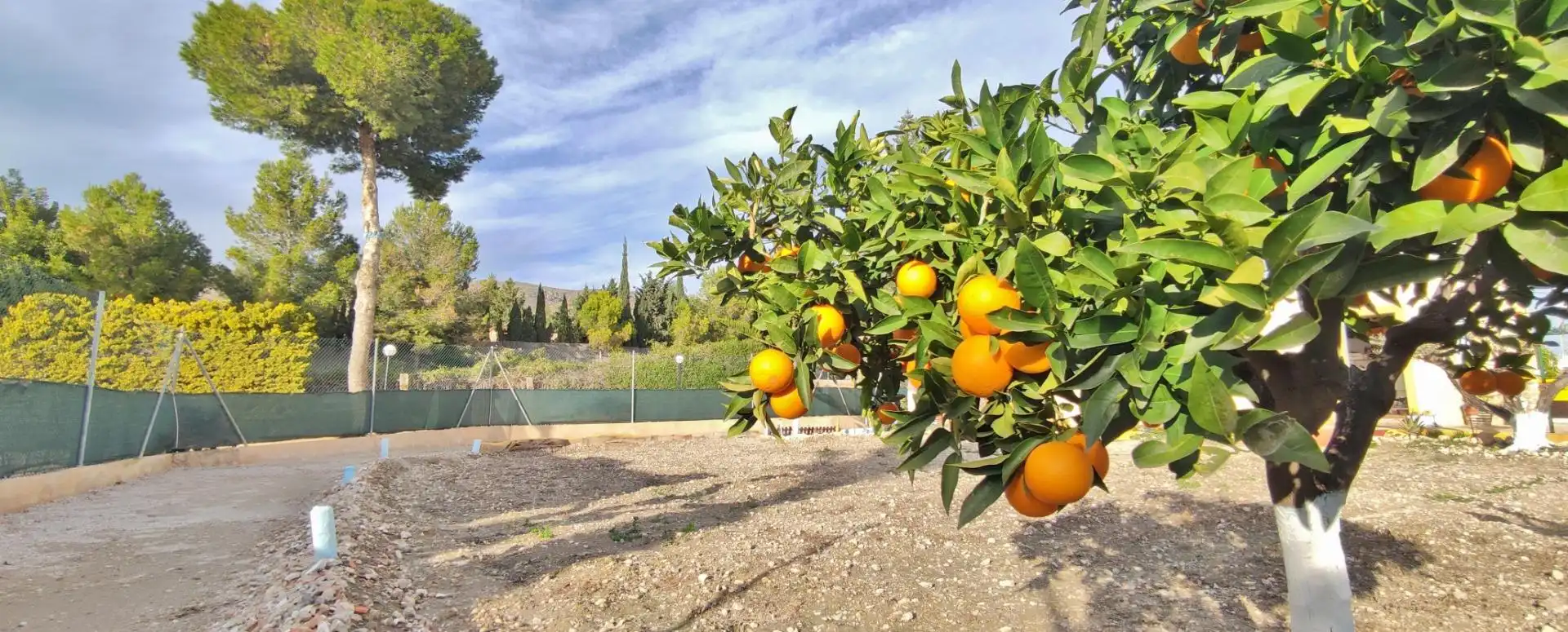 Garden of Houses for sale in Níjar  with Air Conditioner, Private garden and Terrace