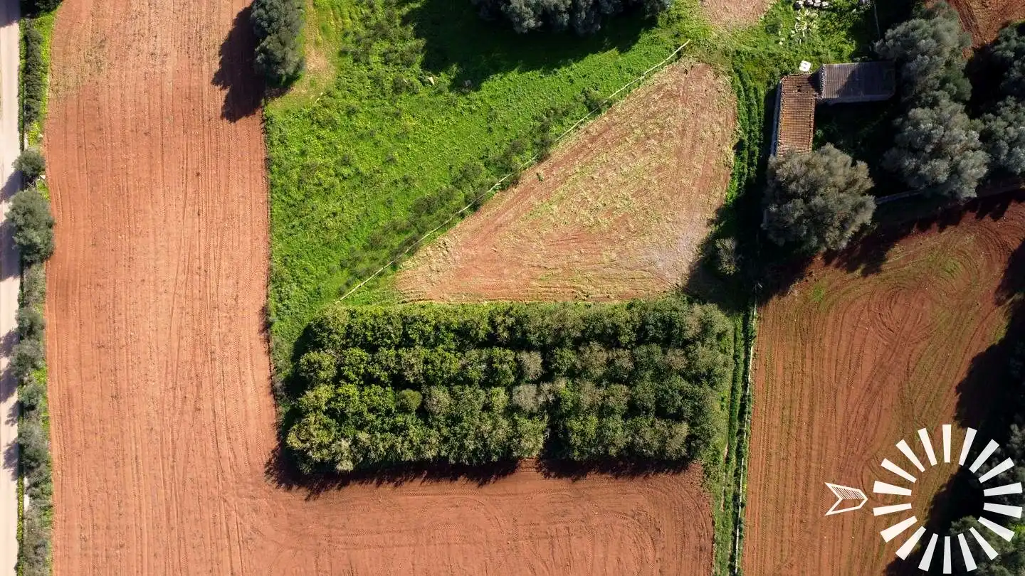 Terrain rustique à vendre à Cami de Son Pau, imagen 32