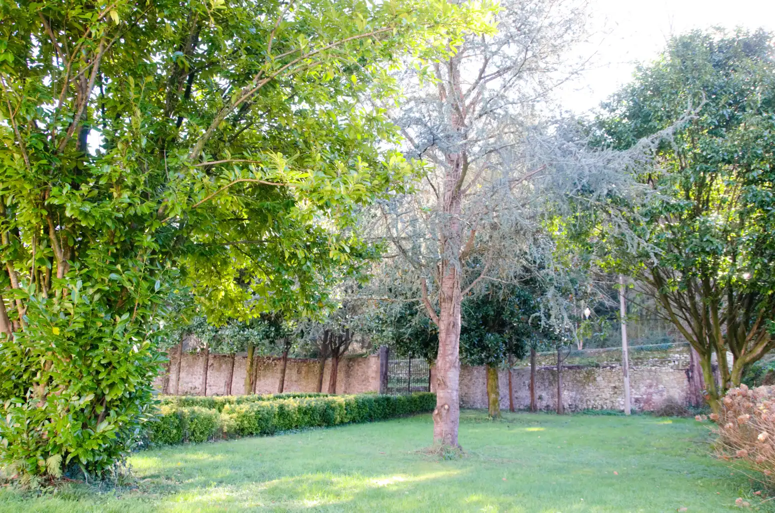Casa o chalet en venta en Guriezo - DS RIOSECO, 4, Guriezo