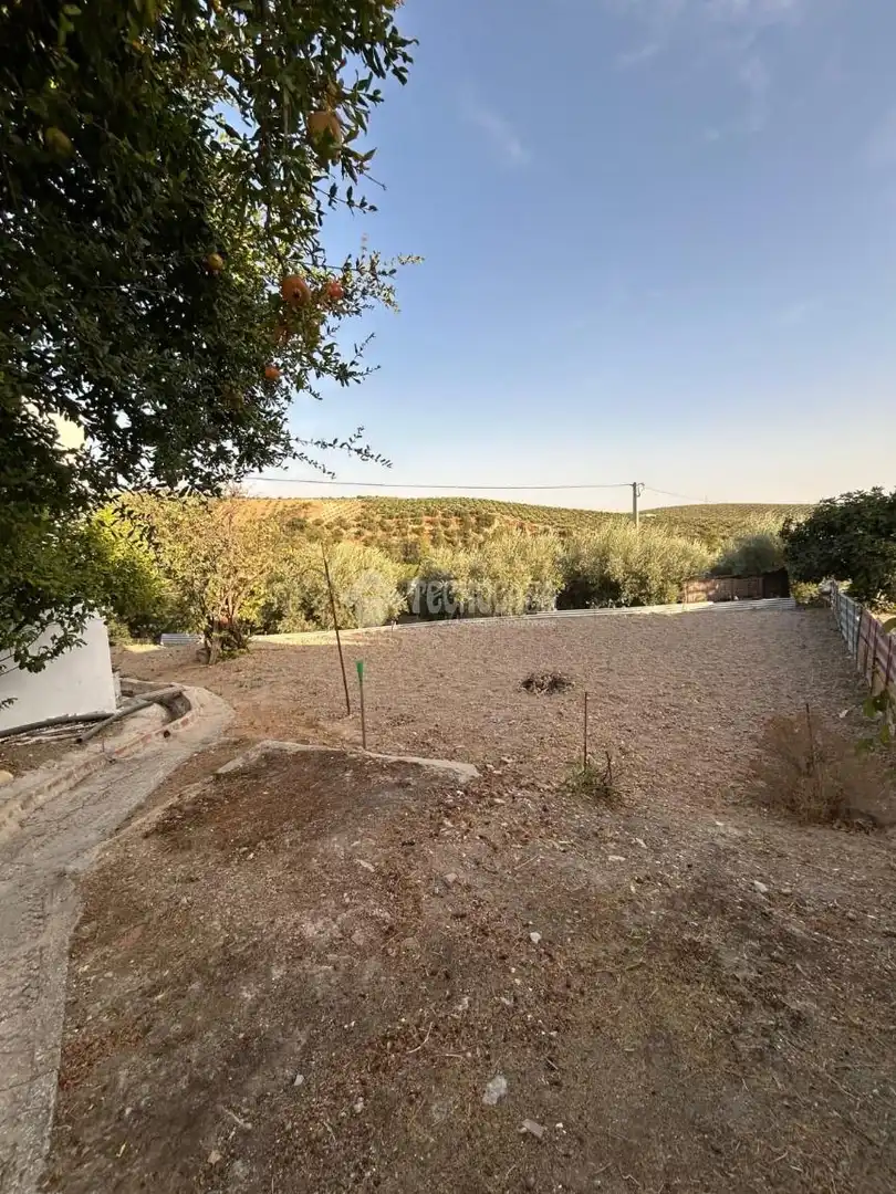 Finca rústica en venda en Montilla