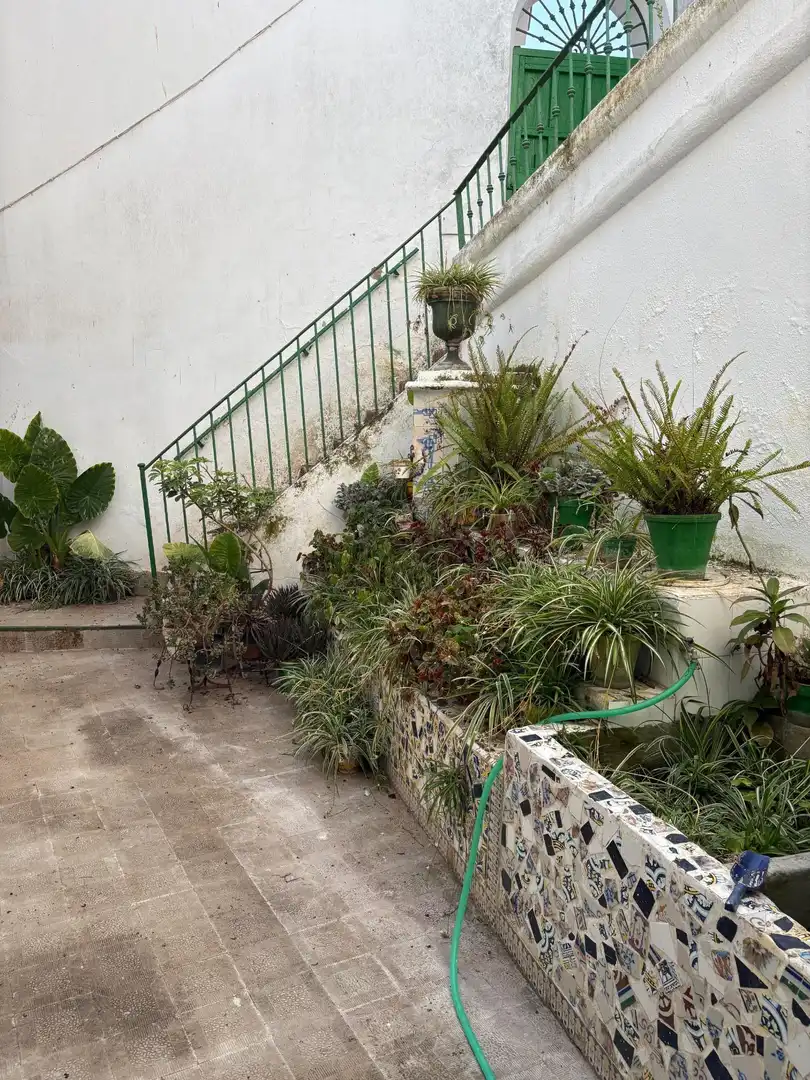 Garden of Houses for sale in Zufre  with Terrace and Storage room